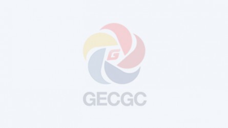 ?中共中央關于加強對“一把手”和領導班子監(jiān)督的意見
