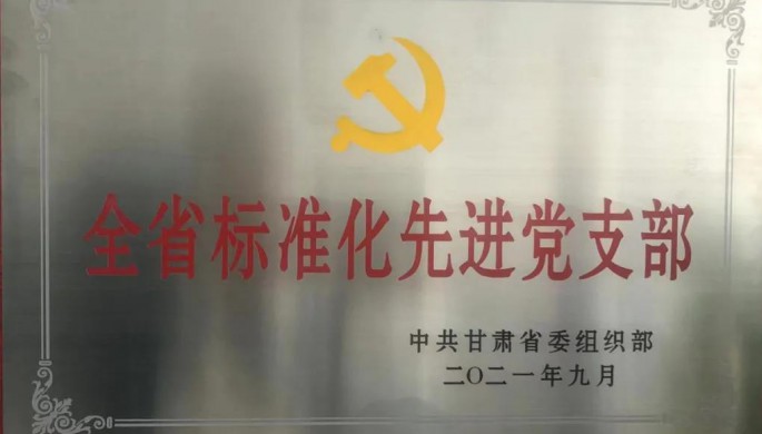 抓實黨建聚合力  先鋒引領(lǐng)促生產(chǎn)熱烈祝賀建筑設(shè)計院設(shè)計八所黨支部榮獲“全省標(biāo)準(zhǔn)化先進(jìn)黨支部”榮譽(yù)稱號